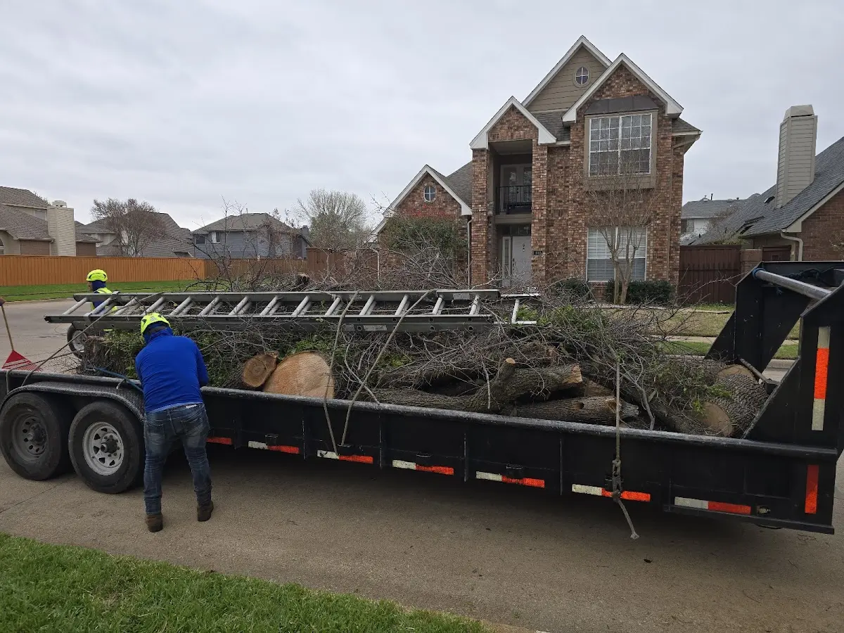 Expert Tree Fertilization with proper safety equipment in Larslan